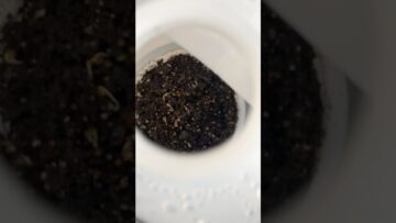 [ID: _a93BUkBvs8] Youtube Automatic