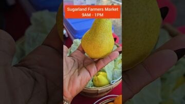 [ID: aAMyVpsCLxU] Youtube Automatic