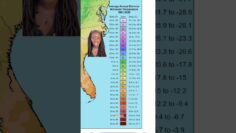 [ID: AB-WeGroAKU] Youtube Automatic