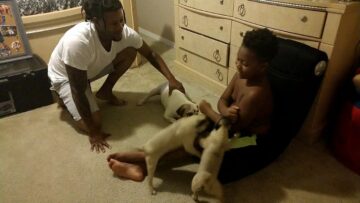 [ID: aDFpFbWYRTg] Youtube Automatic