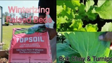 [ID: AdFtVwXE2WE] Youtube Automatic