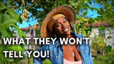 [ID: aF0X68osVc8] Youtube Automatic