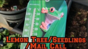 [ID: _AJ8osRcfl8] Youtube Automatic