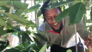 [ID: aKxmFMwMw68] Youtube Automatic