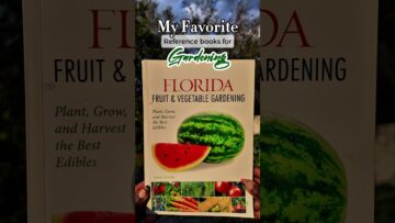 [ID: AlF153UpabA] Youtube Automatic