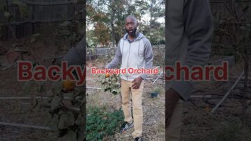 [ID: aPTLg4X_3is] Youtube Automatic