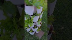 [ID: AS0hJoXEDNQ] Youtube Automatic