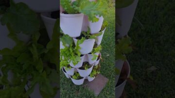 [ID: AS0hJoXEDNQ] Youtube Automatic