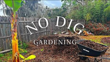 [ID: ATcKd0queEI] Youtube Automatic