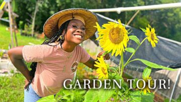 [ID: _aTVWKMY1Co] Youtube Automatic