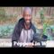 How to Over Winter Pepper Plants? 🌶 🌶 🌶