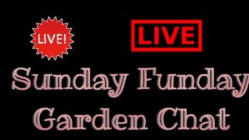 [ID: b1z9h1ewCxc] Youtube Automatic