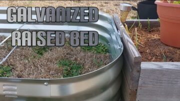 [ID: B84pLb4wzcc] Youtube Automatic