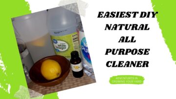 [ID: b8lZAtZe4MA] Youtube Automatic