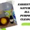 Best Natural All Purpose Cleaner Recipe