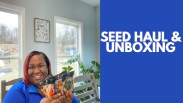 [ID: BfScA-_bd9w] Youtube Automatic