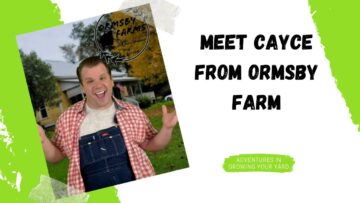 [ID: Bjj5roKMHoE] Youtube Automatic