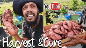 [ID: bKWP-tIEKzY] Youtube Automatic