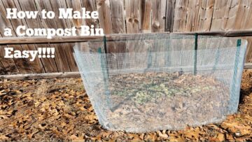 [ID: BmiIXVpE2_o] Youtube Automatic