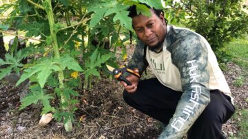 [ID: BMQB4lKfWLc] Youtube Automatic