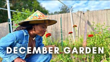 [ID: boXmuZ5zddw] Youtube Automatic