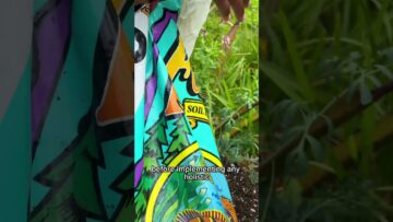 [ID: bXb2dwOgszs] Youtube Automatic