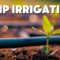 Create an EFFICIENT Garden with Drip Irrigation Basics