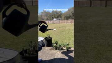 [ID: bXkoqSCj8Cs] Youtube Automatic