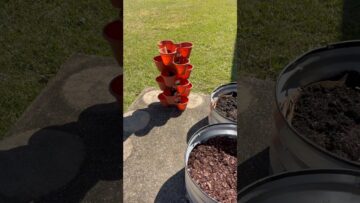 [ID: bxtUWoEMz8o] Youtube Automatic