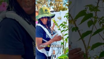 [ID: bytRFHv8BA0] Youtube Automatic