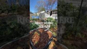 [ID: c33aJeJGZDM] Youtube Automatic