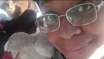 [ID: C3b_pLh4808] Youtube Automatic