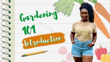 [ID: C4mzDtTndSg] Youtube Automatic