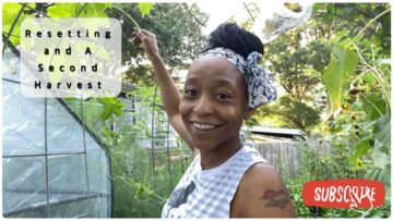 [ID: CbX4wiyzBe4] Youtube Automatic