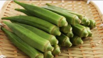 [ID: CDEUltjB0VA] Youtube Automatic