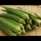 Harvesting Okras