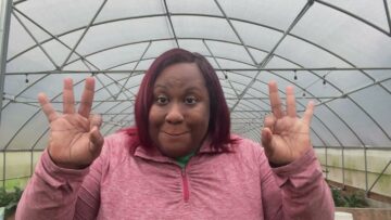 [ID: CeYeSvL2EsA] Youtube Automatic