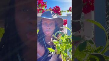 [ID: Cg3QPhwu5nM] Youtube Automatic