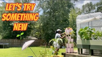 [ID: ciOs-7vl1g8] Youtube Automatic