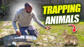 [ID: CJb3rMUtE9s] Youtube Automatic