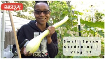 [ID: ckNDwzIkH3E] Youtube Automatic