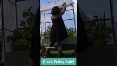 [ID: cLaf7jpxNkg] Youtube Automatic