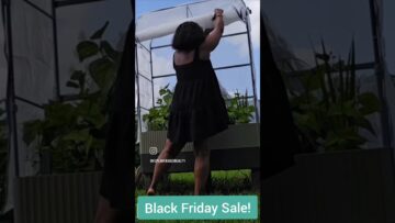 [ID: cLaf7jpxNkg] Youtube Automatic