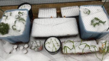 [ID: cLhrLpeZBiI] Youtube Automatic