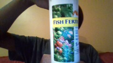 [ID: CN55zoRMPV8] Youtube Automatic