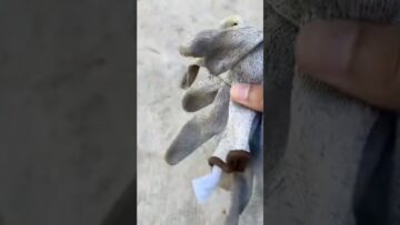 [ID: CneArUM1mhs] Youtube Automatic