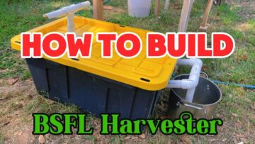 [ID: _cnm3ttkx6k] Youtube Automatic