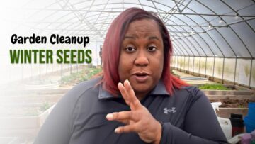 [ID: ct3Blu7QL2Q] Youtube Automatic