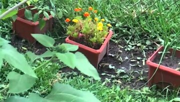 [ID: Cx4zPxxKUdI] Youtube Automatic