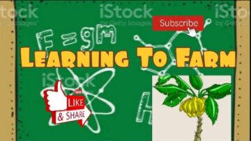 [ID: cYQ5QreN0LA] Youtube Automatic